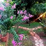 Nonna Vincenza 4* Maratea