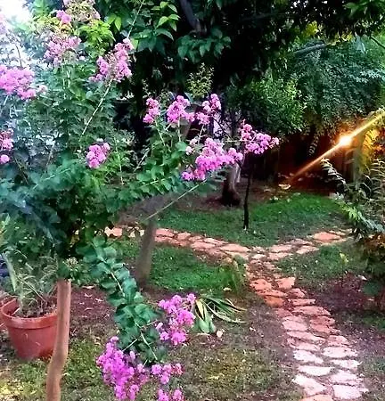 Nonna Vincenza 4* Maratea