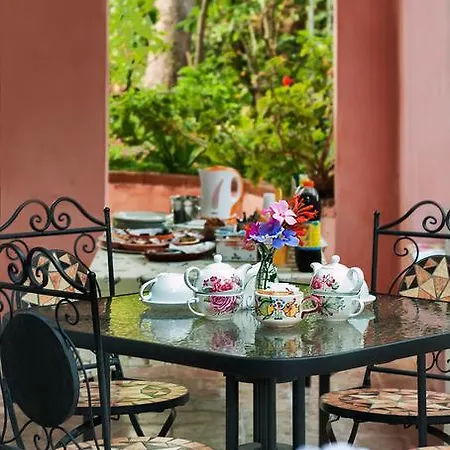 Nonna Vincenza Couette-café
