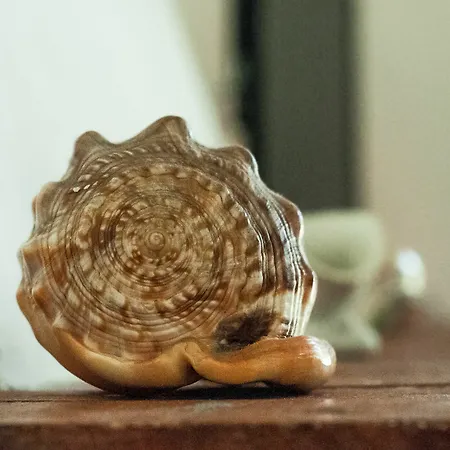 Bed and breakfast Nonna Vincenza Maratea